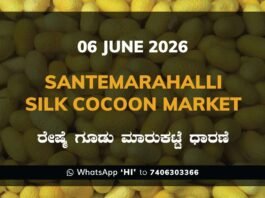 Santemarahalli Silk Cocoon Market – 06 June 2026