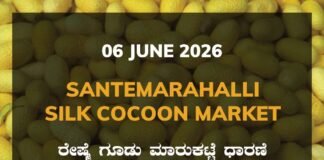 Santemarahalli Silk Cocoon Market – 06 June 2026 Santemarahalli Silk Cocoon Market – 06 June 2026