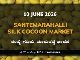 Santemarahalli Silk Cocoon Market – 10 June 2026