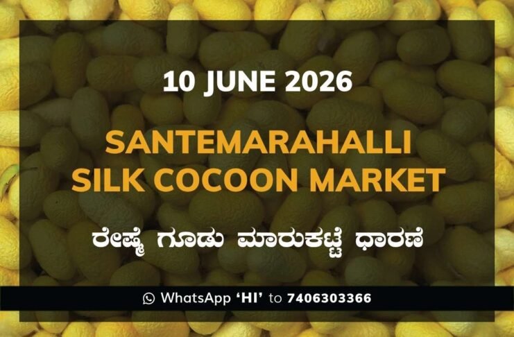 Santemarahalli Silk Cocoon Market – 10 June 2026