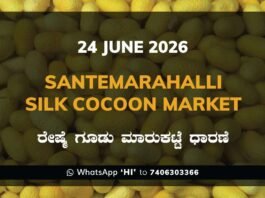 Santemarahalli Silk Cocoon Market – 24 June 2026
