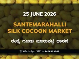 Santemarahalli Silk Cocoon Market – 25 June 2026