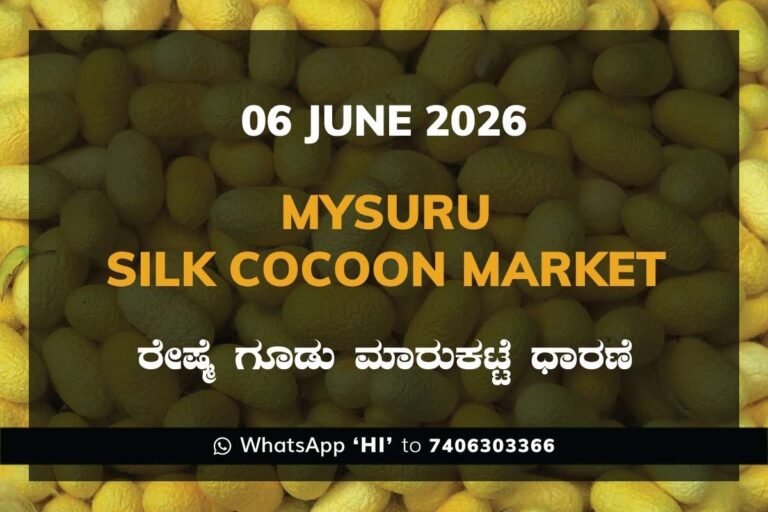 Mysuru Silk Cocoon Market – 06 June 2026