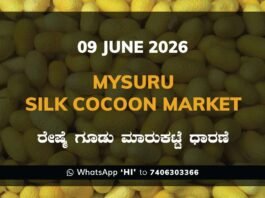 Mysuru Silk Cocoon Market – 09 June 2026