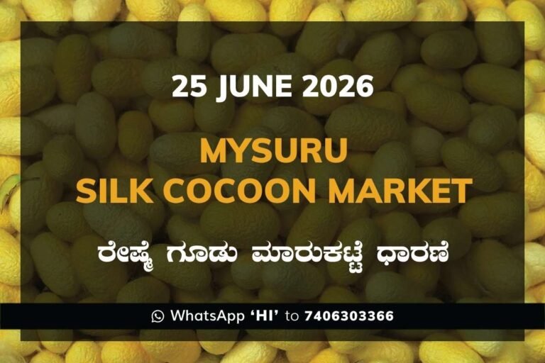 Mysuru Silk Cocoon Market – 25 June 2026
