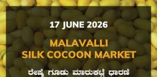 Malavalli Silk Cocoon Market – 17 June 2026 Malavalli Silk Cocoon Market – 17 June 2026