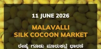 Malavalli Silk Cocoon Market – 11 June 2026 Malavalli Silk Cocoon Market – 11 June 2026