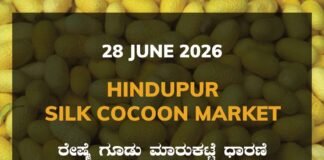 Hindupur Silk Cocoon Market – 28 June 2026 Hindupur Silk Cocoon Market Rates – 28 June 2026