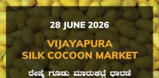 Vijayapura Silk Cocoon Market – 28 June 2026 Vijayapura Silk Cocoon Market Rates – 28 June 2026