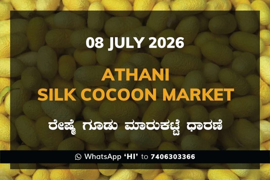 Athani Silk Cocoon Market Rates – 08 July 2026