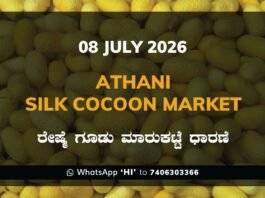 Athani Silk Cocoon Market – 08 July 2026 Athani Silk Cocoon Market Rates – 08 July 2026