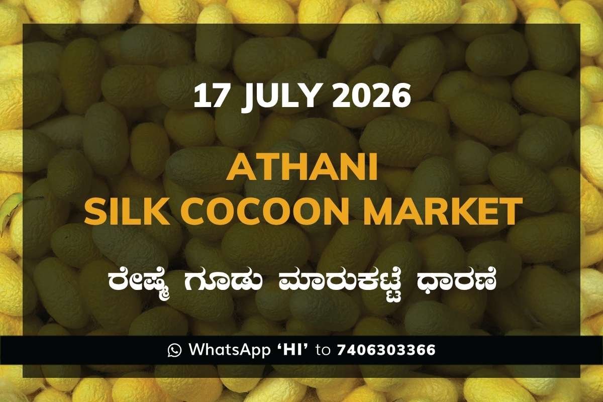 athani-silk-cocoon-market-17-july-2026 Athani Silk Cocoon Market Rates – 17 July 2026