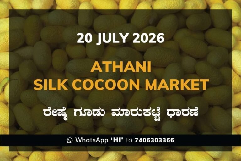 Athani Silk Cocoon Market Rates – 20 July 2026