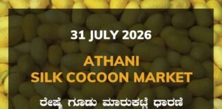 Athani Silk Cocoon Market – 31 July 2026 Athani Silk Cocoon Market Rates – 31 July 2026
