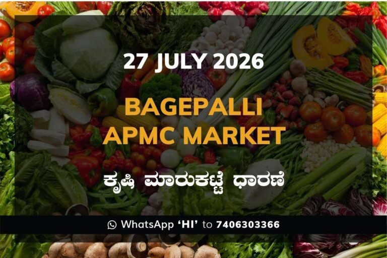 Bagepalli APMC Market Rates – 27 July 2026