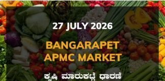 Bangarapet APMC Agriculture Market: 27 July 2026 Bangarapet APMC Market Rates – 27 July 2026