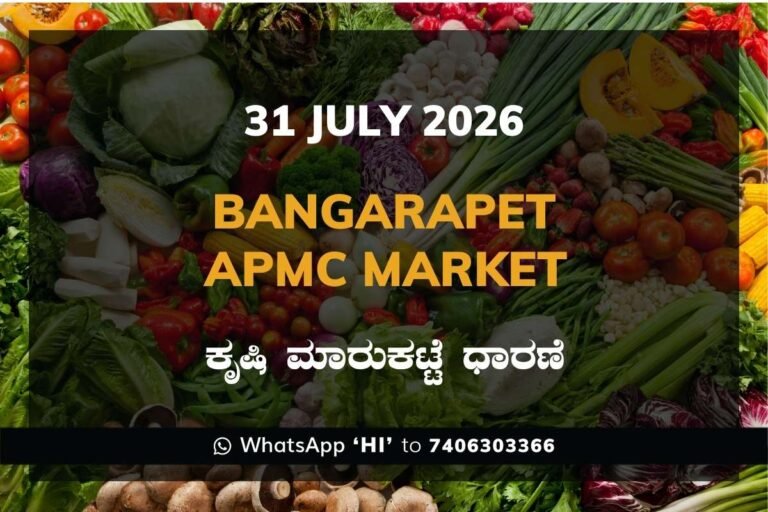 Bangarapet APMC Market Rates – 31 July 2026