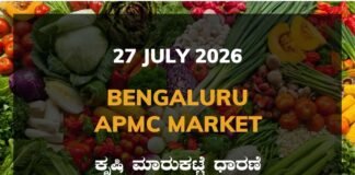 Bengaluru APMC Agriculture Market: 27 July 2026 Bengaluru APMC Market Rates – 27 July 2026