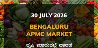 Bengaluru APMC Agriculture Market: 30 July 2026 Bengaluru APMC Market Rates – 30 July 2026