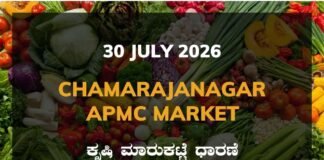 Chamarajanagar APMC Agriculture Market: 30 July 2026 Chamarajanagar APMC Market Rates – 30 July 2026