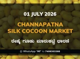 Channapatna Silk Cocoon Market – 1 July 2026 Channapatna Silk Cocoon Market Rates – 1 July 2026