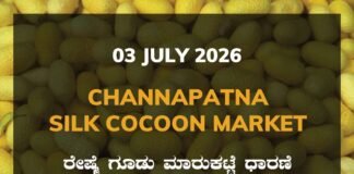 Channapatna Silk Cocoon Market – 03 July 2026 Channapatna Silk Cocoon Market Rates – 03 July 2026