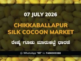 Chikkaballapur Silk Cocoon Market – 07 July 2026 Chikkaballapur Silk Cocoon Market Rates – 07 July 2026