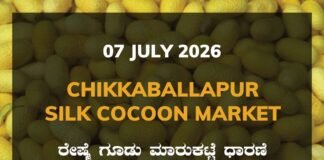 Chikkaballapur Silk Cocoon Market – 07 July 2026 Chikkaballapur Silk Cocoon Market Rates – 07 July 2026