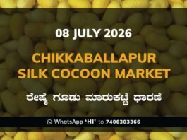 Chikkaballapur Silk Cocoon Market – 08 July 2026 Chikkaballapur Silk Cocoon Market Rates – 08 July 2026