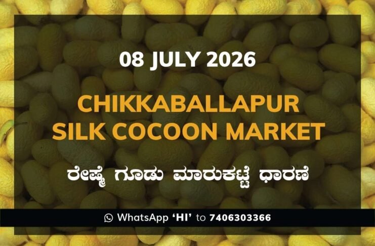 Chikkaballapur Silk Cocoon Market Rates – 08 July 2026