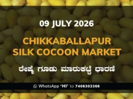 Chikkaballapur Silk Cocoon Market Rates – 09 July 2026