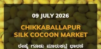 Chikkaballapur Silk Cocoon Market – 09 July 2026 Chikkaballapur Silk Cocoon Market Rates – 09 July 2026