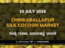 Chikkaballapur Silk Cocoon Market Rates – 10 July 2026