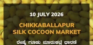 Chikkaballapur Silk Cocoon Market – 10 July 2026 Chikkaballapur Silk Cocoon Market Rates – 10 July 2026