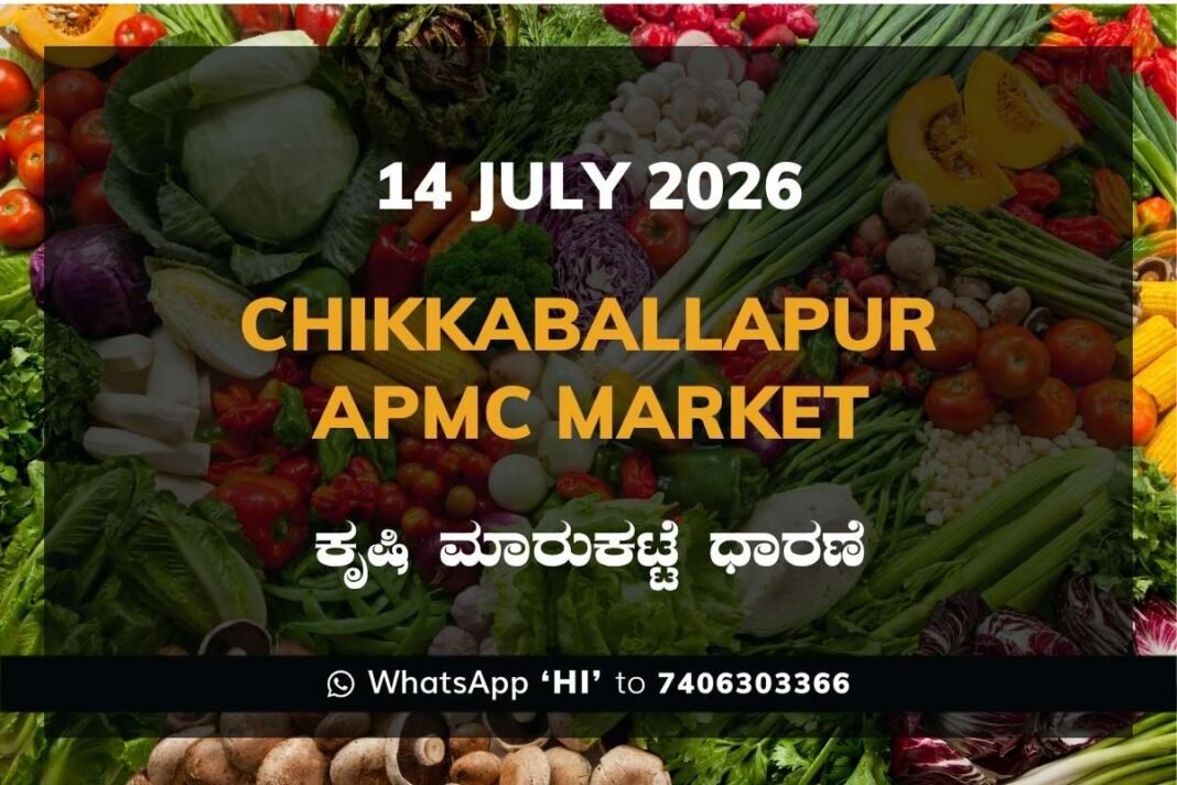 Chikkaballapur Silk Cocoon Market Rates – 14 July 2026