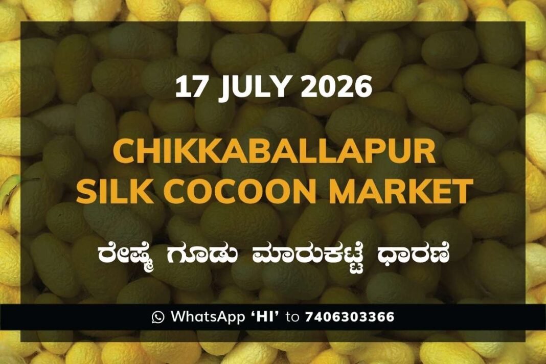 Chikkaballapur Silk Cocoon Market Rates – 17 July 2026