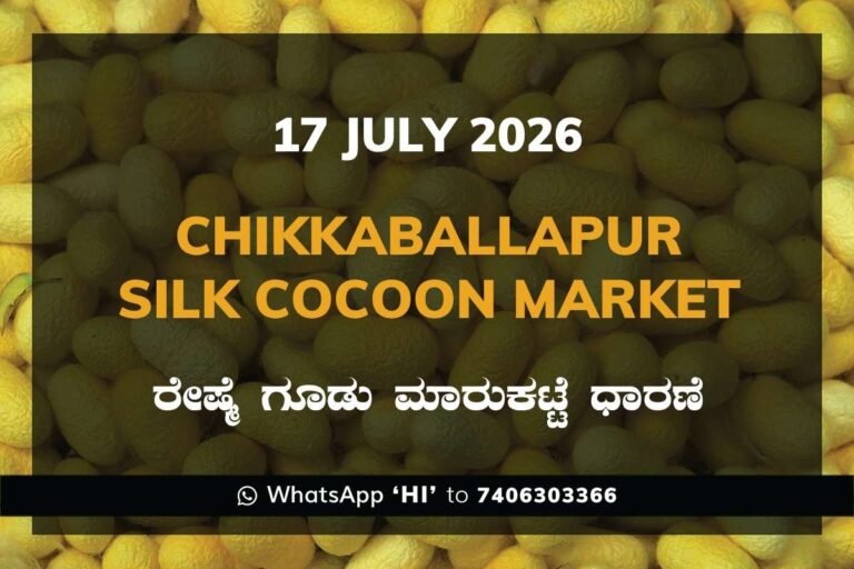 Chikkaballapur Silk Cocoon Market Rates – 17 July 2026