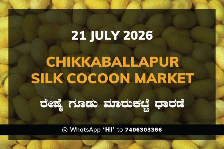 Chikkaballapur Silk Cocoon Market Rates – 21 July 2026