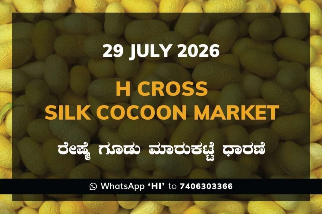 Chikkaballapur Silk Cocoon Market Rates – 29 July 2026