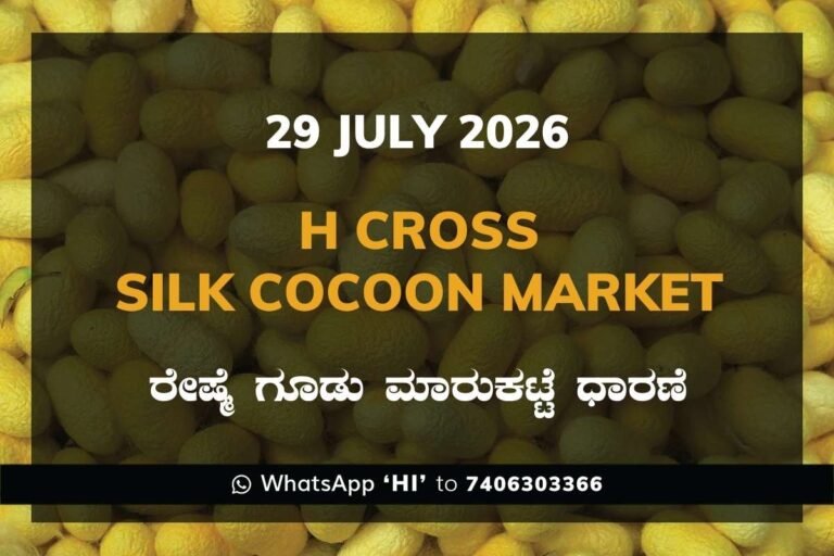 Chikkaballapur Silk Cocoon Market Rates – 29 July 2026