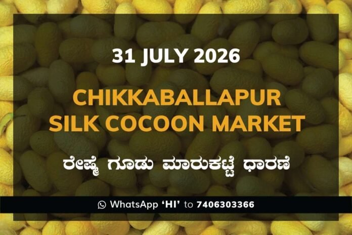 Chikkaballapura Silk Cocoon Market Rates – 31 July 2026