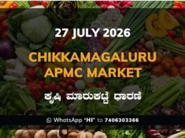 Chikkamagaluru APMC Market Rates – 27 July 2026