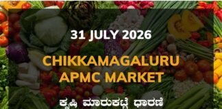 Chikkamagaluru APMC Agriculture Market: 31 July 2026 Chikkamagaluru APMC Market Rates – 31 July 2026
