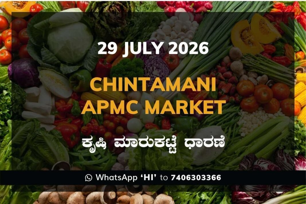 Chintamani APMC Market Rates - 29 July 2026