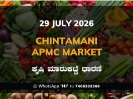 Chintamani APMC Market Rates - 29 July 2026
