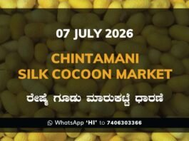 Chintamani Silk Cocoon Market – 07 July 2026 Chintamani Silk Cocoon Market Rates – 07 July 2026