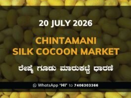 Chintamani Silk Cocoon Market Rates – 20 July 2026