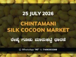 Chintamani Silk Cocoon Market Rates – 25 July 2026