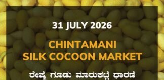 Chintamani Silk Cocoon Market – 31 July 2026 Chintamani Silk Cocoon Market Rates – 31 July 2026
