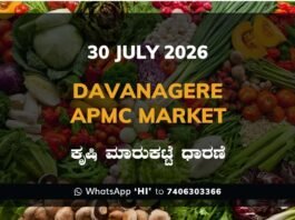 Davanagere APMC Market Rates – 30 July 2026